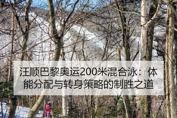wang-shun-ba-li-ao-yun-mi-hun-he-yong-ti-neng-fen-pei-yu-zhuan-shen-ce-lve-de-zhi-sheng-zhi-dao-2-320.jpg