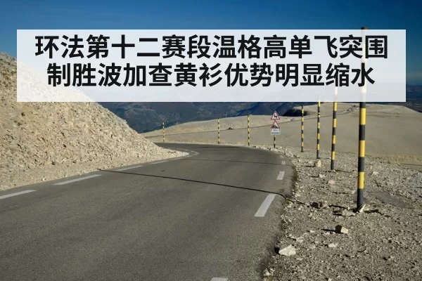 环法第十二赛段温格高单飞突围制胜波加查黄衫优势明显缩水