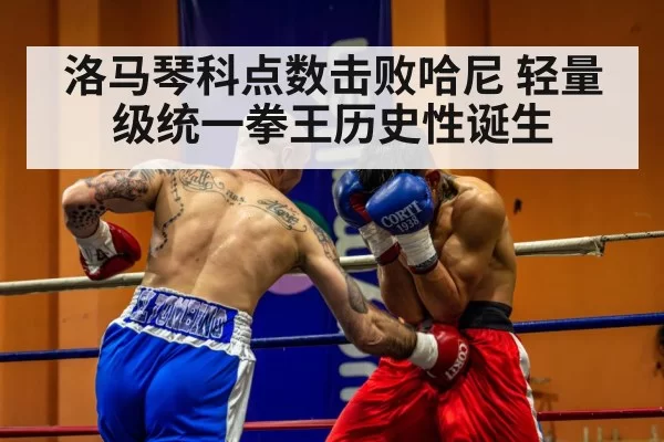 洛马琴科点数击败哈尼 轻量级统一拳王历史性诞生