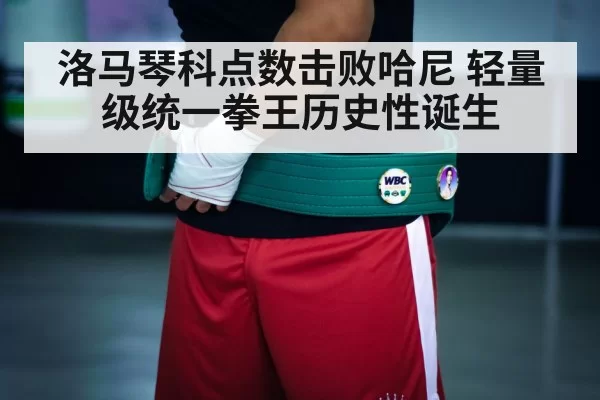 boxing championship belt