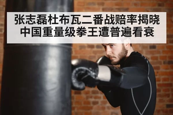 张志磊杜布瓦二番战赔率揭晓中国重量级拳王遭普遍看衰